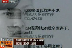 h小说视频,h小说视频带你领略文字魅力
