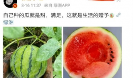 什么叫娱乐圈吃瓜,揭秘明星幕后故事与八卦传闻