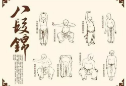 八段锦视频下载,轻松入门养生功法