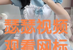 瑟瑟视频,揭秘生活百态，捕捉瞬间美好