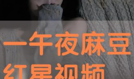 深夜视频在线,网络世界的奇妙瞬间